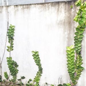 Meet your Posher, Cassandra